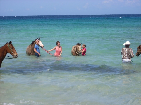 Seminar on Virgin Islands 2008