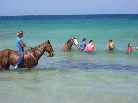 Seminar on Virgin Islands 2008