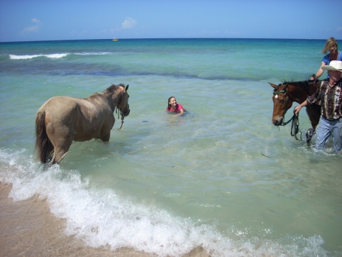 Seminar on Virgin Islands 2008