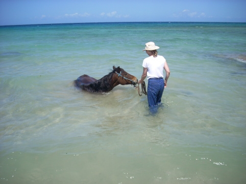 Seminar on Virgin Islands 2008