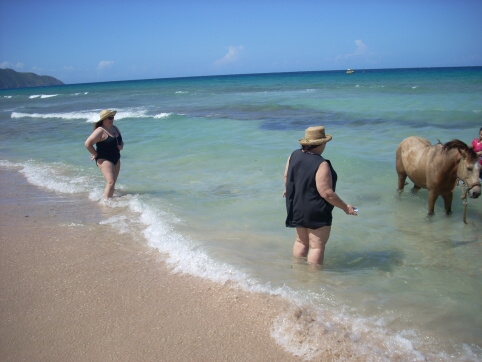 Seminar on Virgin Islands 2008