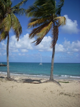 Seminar on Virgin Islands 2008