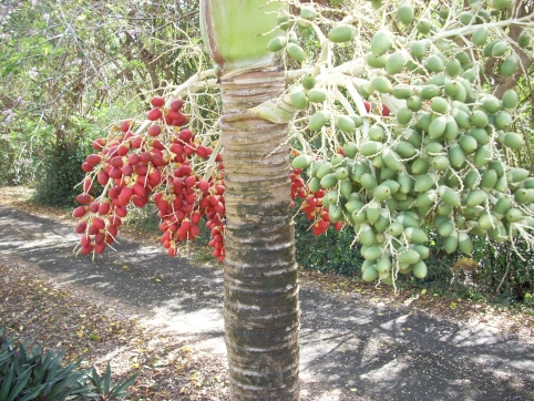 Seminar on Virgin Islands 2008