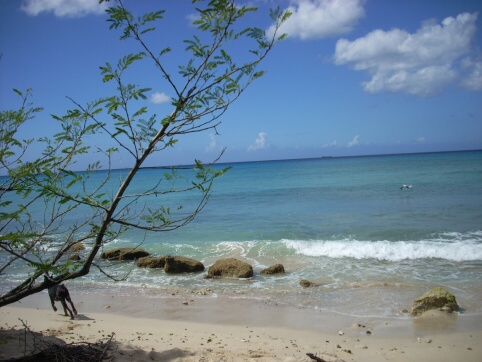 Seminar on Virgin Islands 2008