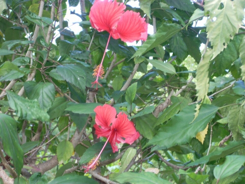 Seminar on Virgin Islands 2008