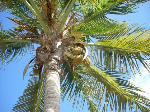 Seminar on Virgin Islands 2008