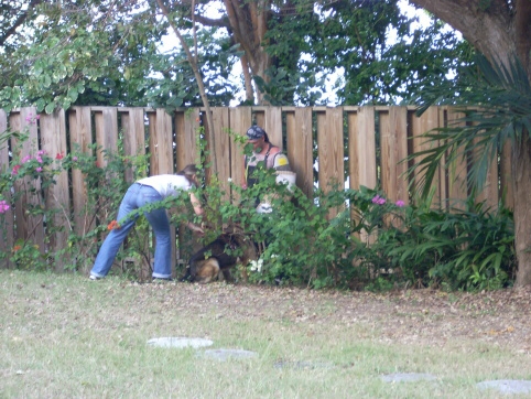 Seminar on Virgin Islands 2008