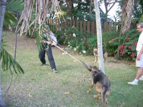 Seminar on Virgin Islands 2008