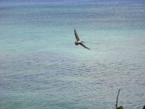 Seminar on Virgin Islands 2008