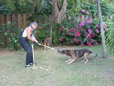 Seminar on Virgin Islands 2008