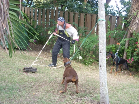 Seminar on Virgin Islands 2008