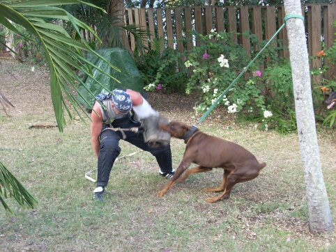 Seminar on Virgin Islands 2008