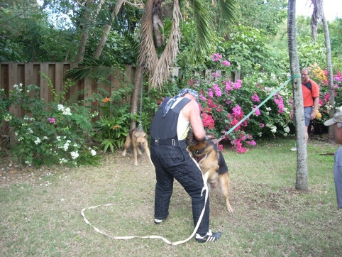 Seminar on Virgin Islands 2008