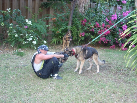 Seminar on Virgin Islands 2008