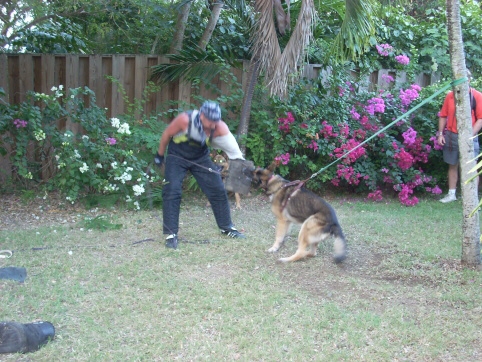 Seminar on Virgin Islands 2008