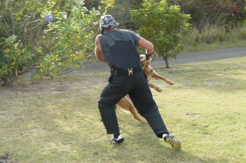 Seminar on Virgin Islands 2008