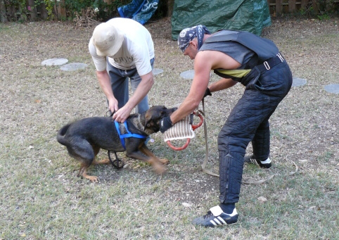 Seminar on Virgin Islands 2008