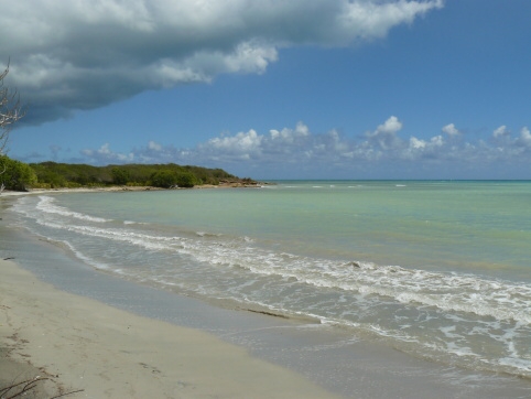 Seminar on Virgin Islands 2008