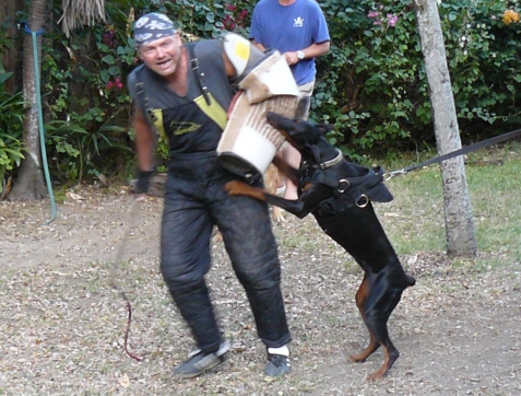 Seminar on Virgin Islands 2008