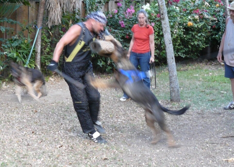 Seminar on Virgin Islands 2008