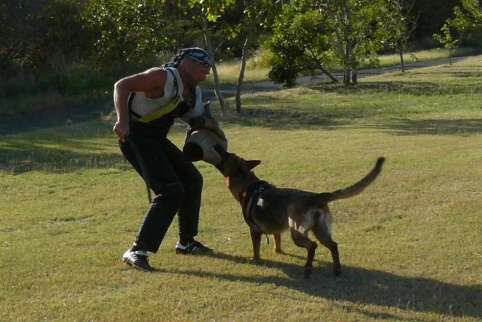 Seminar on Virgin Islands 2008