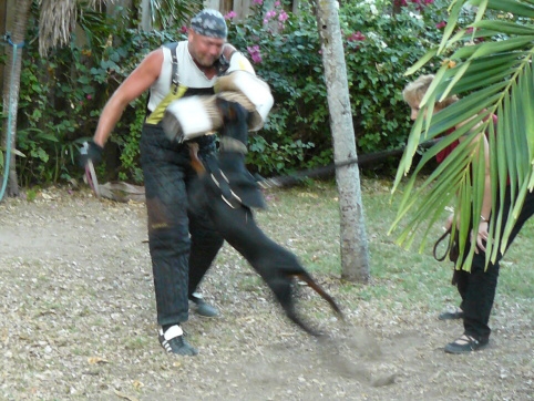 Seminar on Virgin Islands 2008