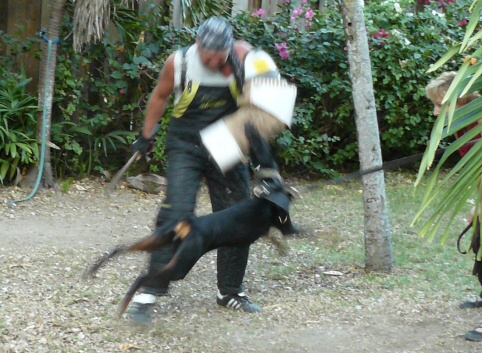 Seminar on Virgin Islands 2008