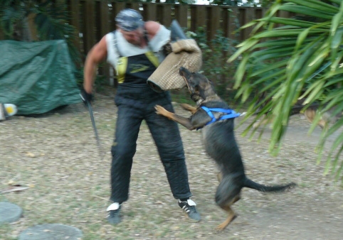 Seminar on Virgin Islands 2008