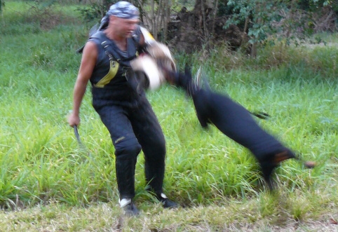 Seminar on Virgin Islands 2008