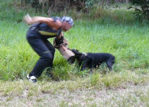 Seminar on Virgin Islands 2008