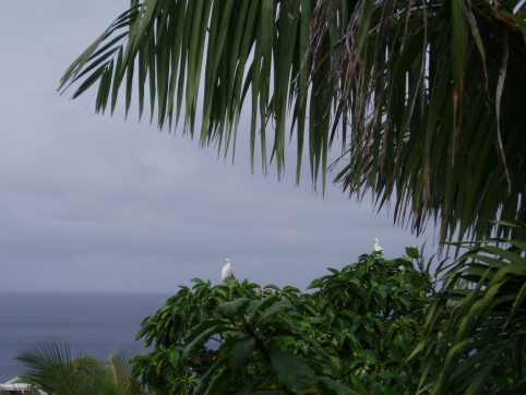 Seminar on Virgin Islands 2008