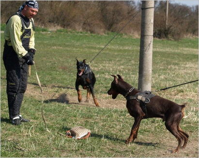 Training in Prague - 2. 4. 2008