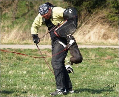 Training in Prague - 2. 4. 2008