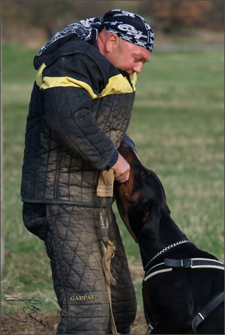 Training in Prague Spring 2008