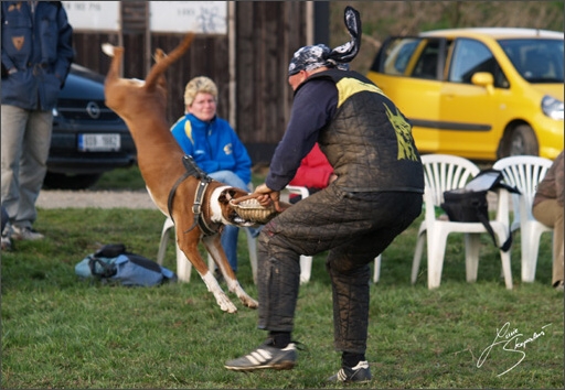 Training in Prague Spring 2008