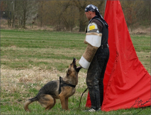 Training in Prague Spring 2008