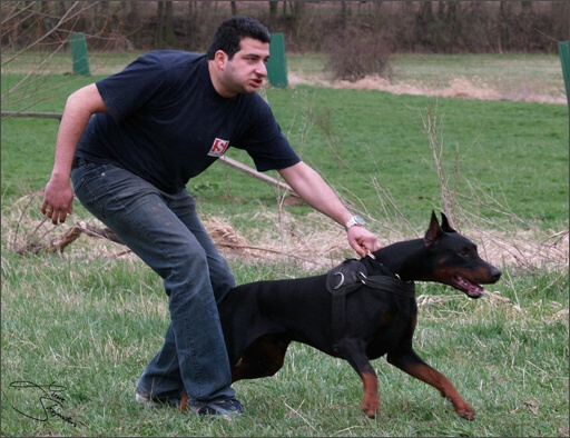 Training in Prague Spring 2008