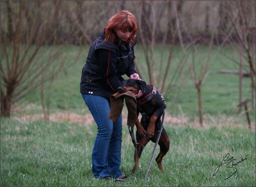 Training in Prague Spring 2008