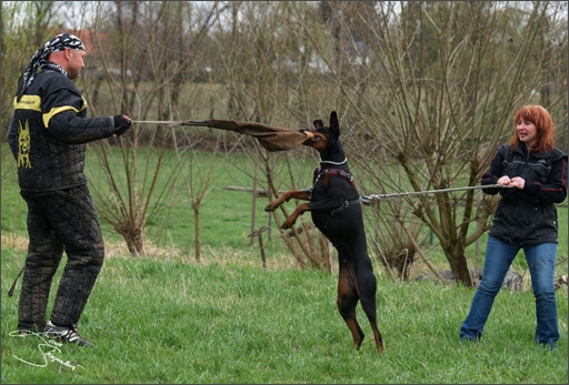 Training in Prague Spring 2008