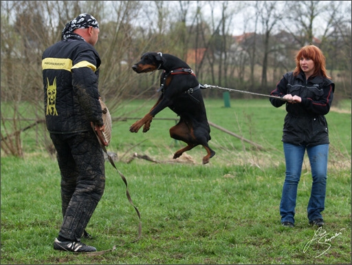 Training in Prague Spring 2008