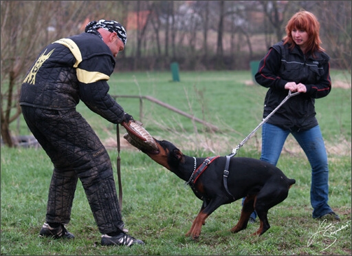 Training in Prague Spring 2008