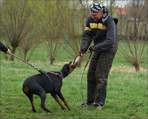 Training in Prague Spring 2008