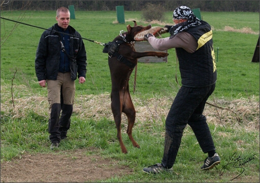 Training in Prague Spring 2008