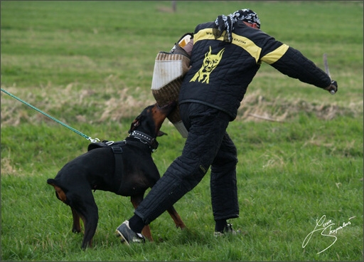 Training in Prague Spring 2008