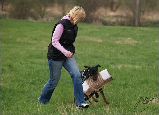 Training in Prague Spring 2008