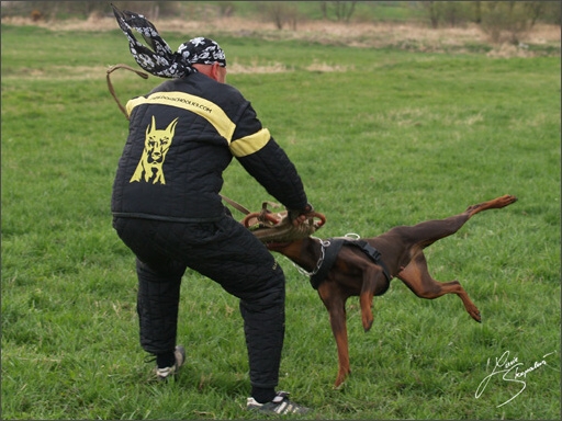 Training in Prague Spring 2008