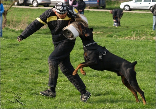 Training in Prague Spring 2008