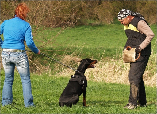 Training in Prague Spring 2008