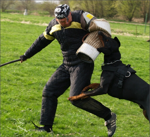 Training in Prague Spring 2008