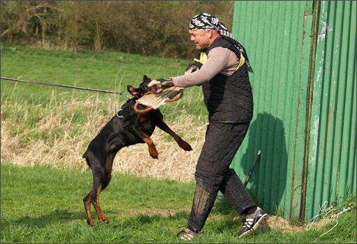 Training in Prague Spring 2008